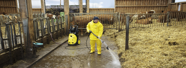 Cleaning In Cowsheds