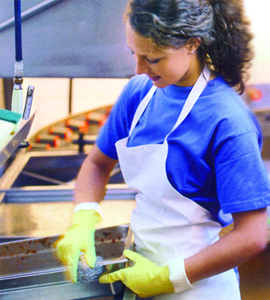 cleaning greasy areas