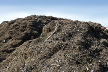 Compost