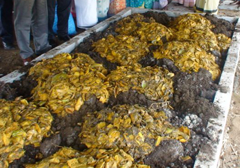 manure
