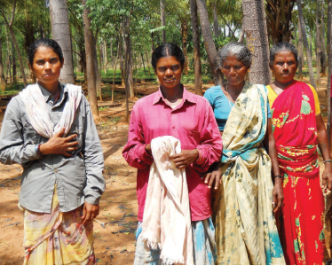 Women help run India’s first energy plantation1