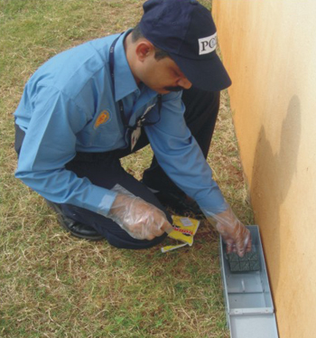 Rodent Management Solution