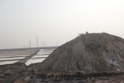 Salt Heap: a salt heap with garbage littering all around