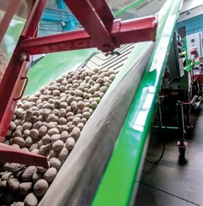 Mega Food Parks Emerging Mega Food Parks in India