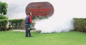 Express-Exclusive
