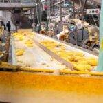 Cleaning a food manufacturing facility