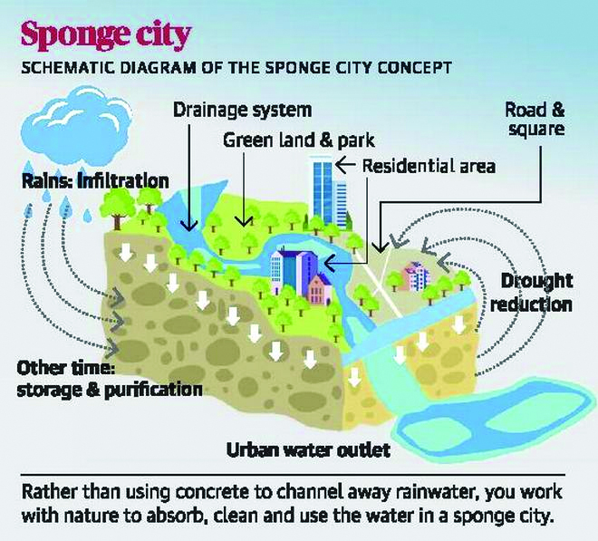 Sponge