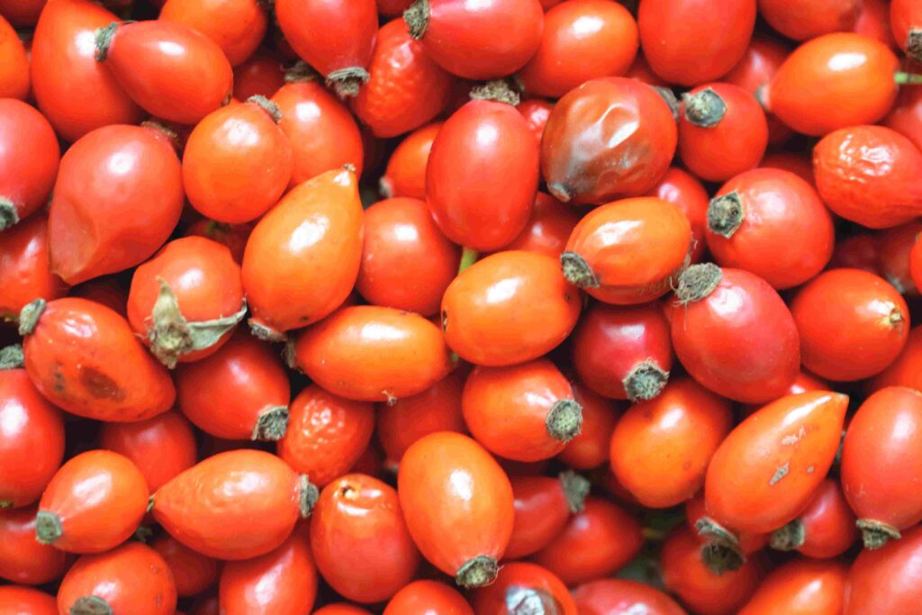 tomato