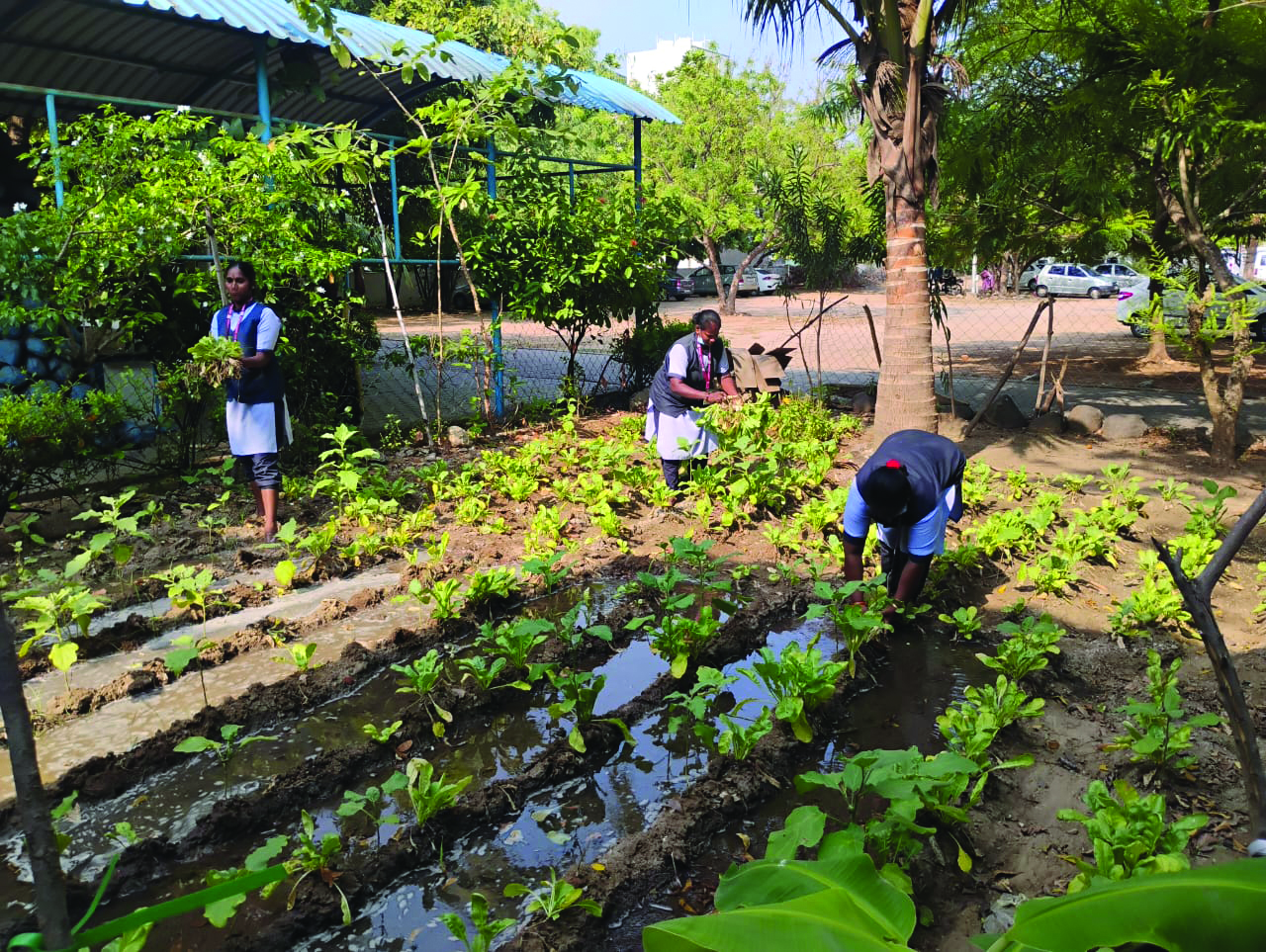 DTSS Puducherry hospital facility management transformation